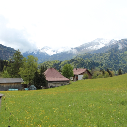 04 Im Mai im Allgäu
